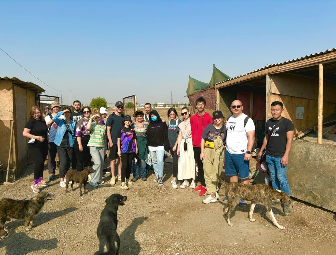 Команда Uzum в приюте для собак