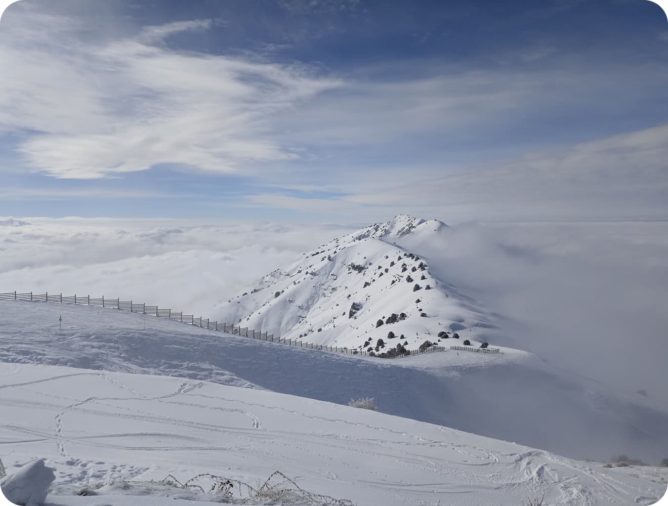 Вид на заснеженные вершины в горах Чимган, Ташкентская область